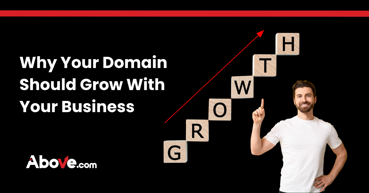 Domain investor pointing to upward growth scale